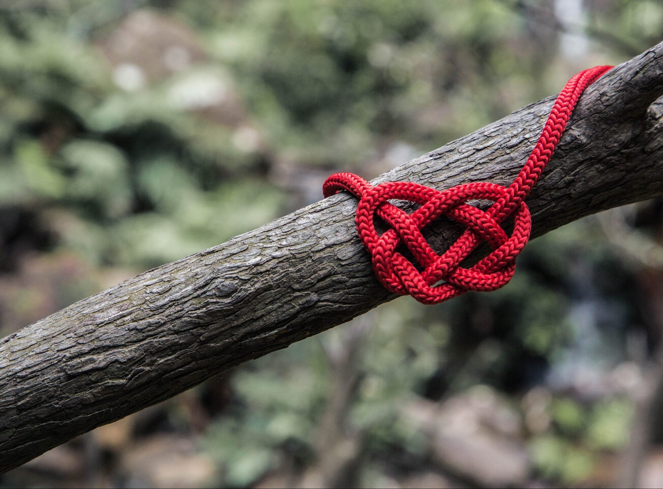 Celtic love knot