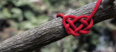 Celtic love knot